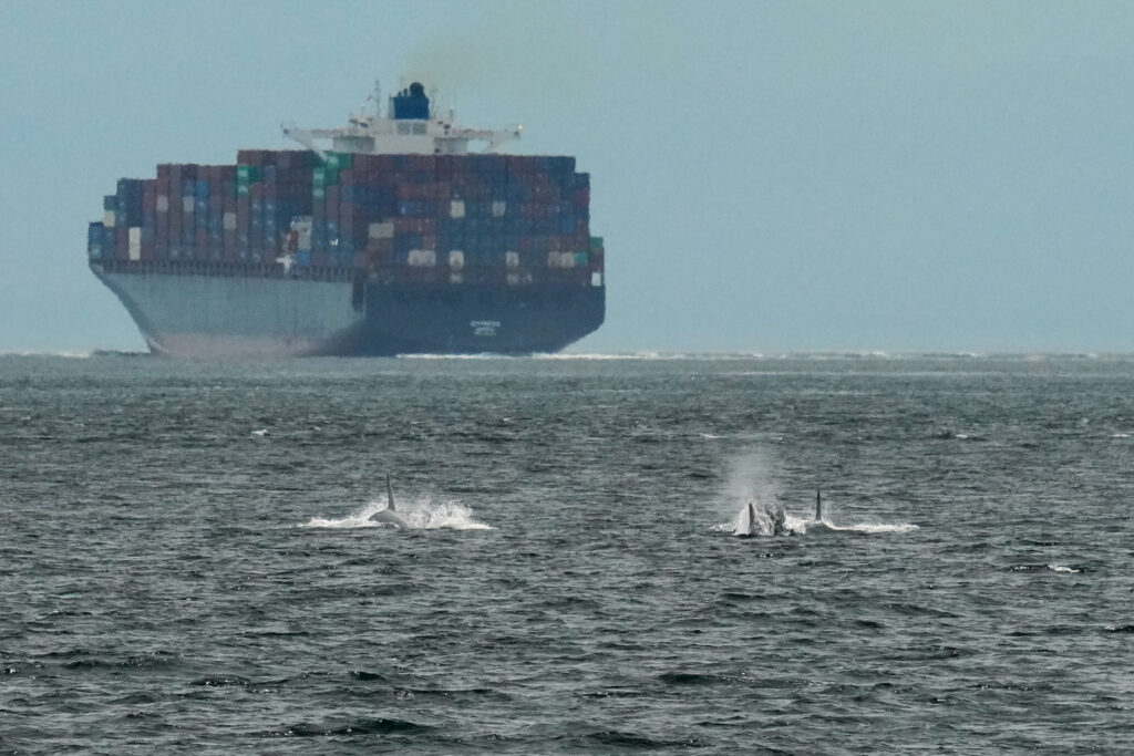 Large container ship with numerous stacked colorful containers sailing at sea.