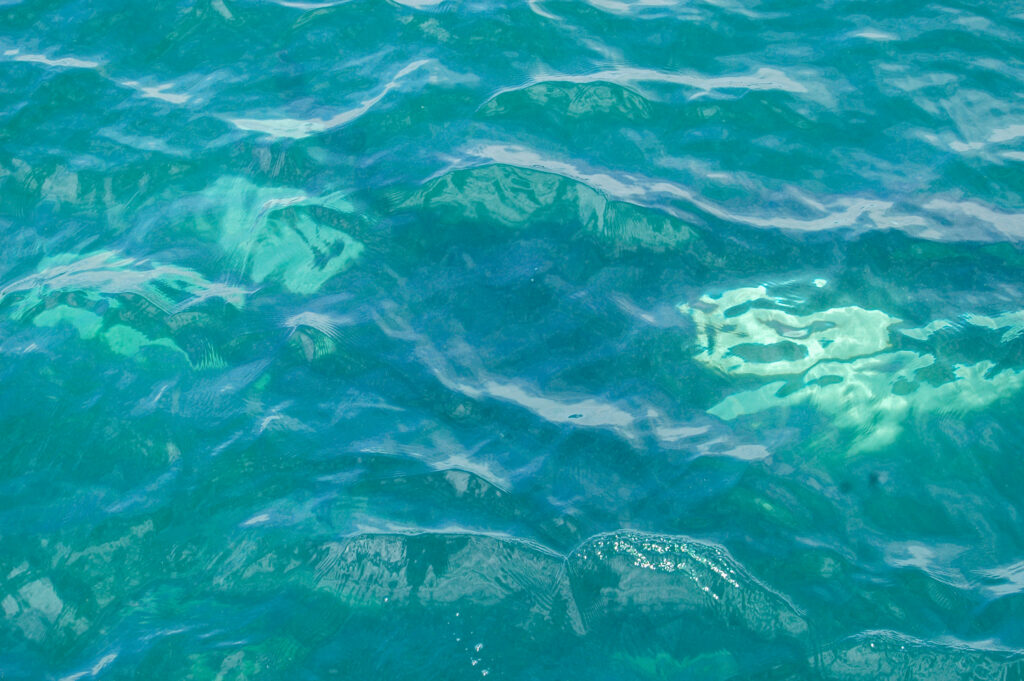 Turquoise ocean water with gentle waves and sunlight reflections on the surface.